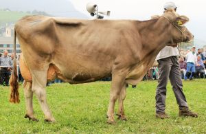 141003Sarnen 141